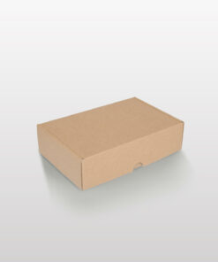 Courier Box Flip Lid Kraft Available In Different Size and Colours