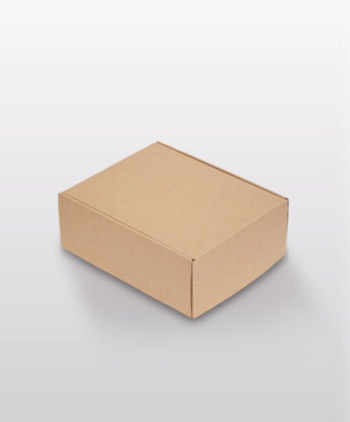 Courier Box Flip Lid Kraft Medium Available In One Size with Dividers Available