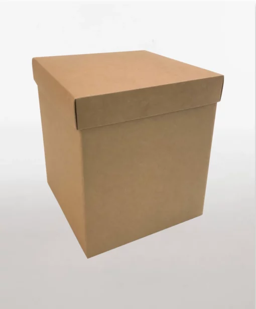 box with lid 2pc kraft