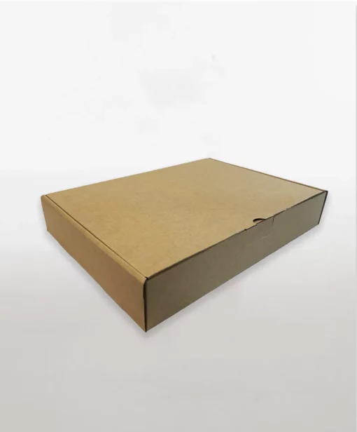 A4 SIZED COURIER BOX KRAFT