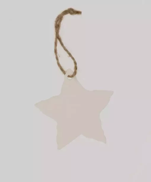 STAR RECYCLED TAG WHITE