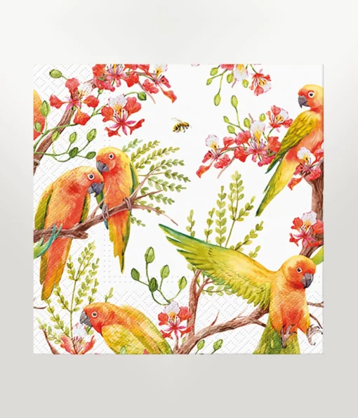 napkins lunch exotic birds