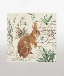 napkins lunch mystery bunny