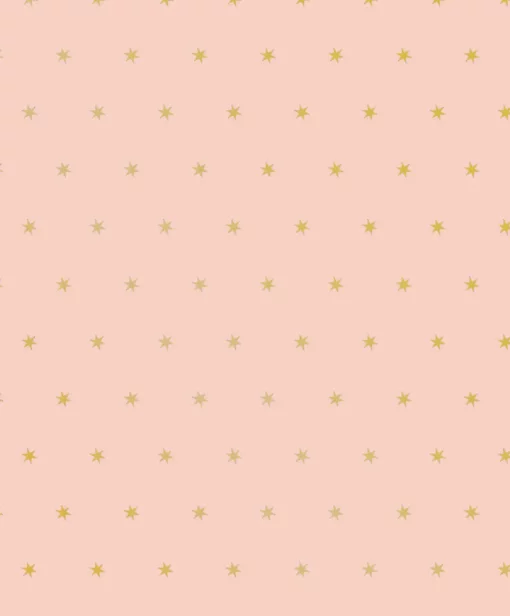 PRINTED MATTE WRAPPING PAPER ROSE WITH GOLD STARS