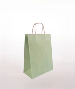 CARRY-BAG-PAPER-TWIST-HANDLE-SAGE-GREEN